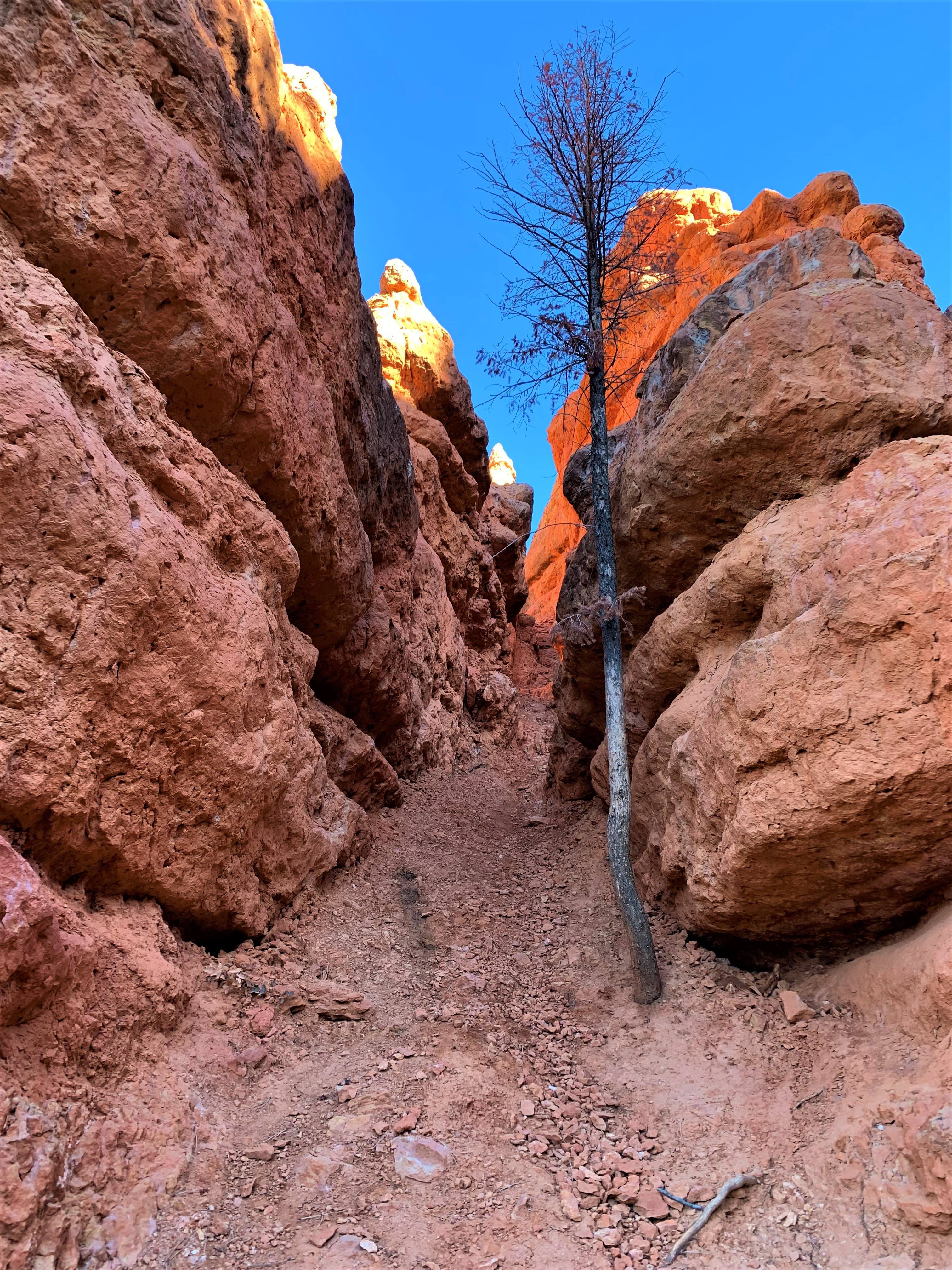 Red Canyon